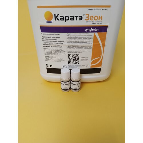 ���� ���������� ������ ���� �� ���������-���������� 2 �� �� 10 �� ������ ������