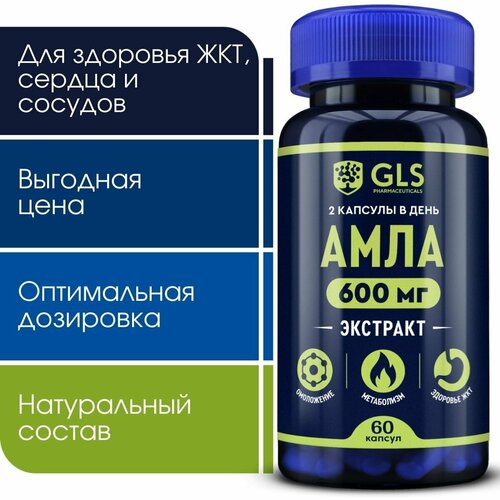 ���� ���� 600�� (������� ��������), �������� / ���� ��� �������� ���, 60 ������ ������ ������