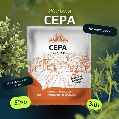 ���� ���� ������ 50�� / 3��. ���������� ��������� ����������. ������ ������