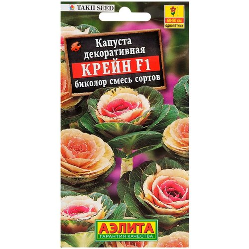 ���� ������ ������ ������� ������������ 