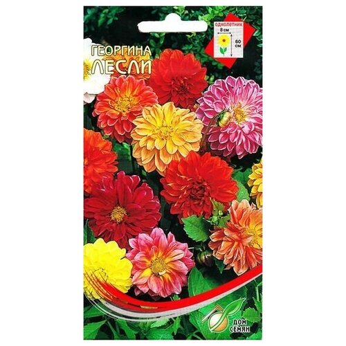 ���� �������� �����, 12 ����� ������ ������