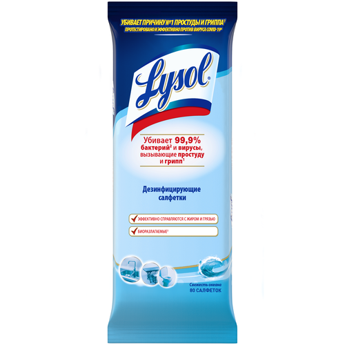 ���� Lysol ��������������� �������� �������� ������, 80 �� ������ ������