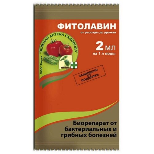 ���� ������� ������ �������� ����������� �� ������������� � ������� �������� ���������, 2 ��, 4000 � ������ ������