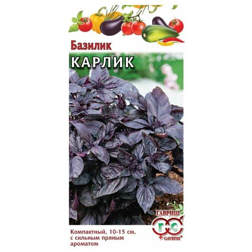 ���� ������� ���������� ������ ������ ������