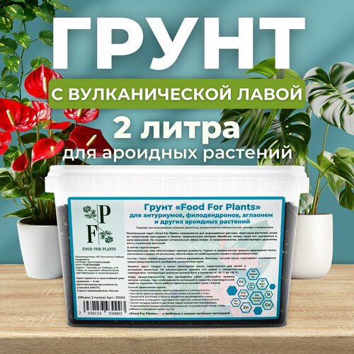 ���� �������� ��� ��������� ��������. ����� ��� ����������, ���������, ������������ � ������ �������� �������� ������ ������