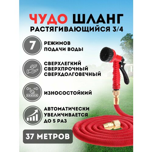 ���� ����� 3/4 ������� ���������� ��������������� ������ ������