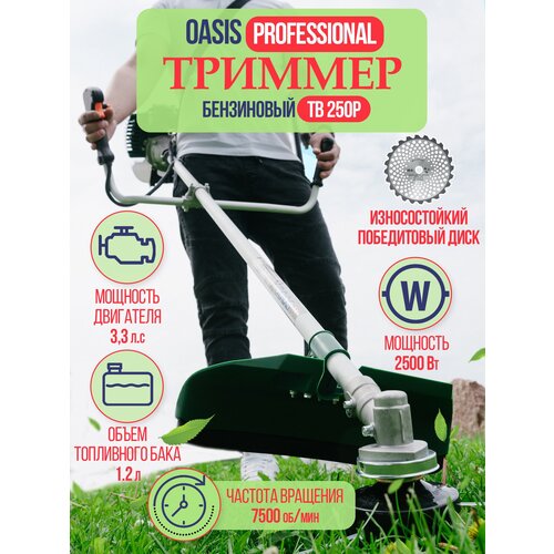    OASIS Professional  250 52 ?/2500   -     , -, 