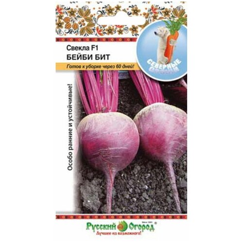 ���� ������. ������ 