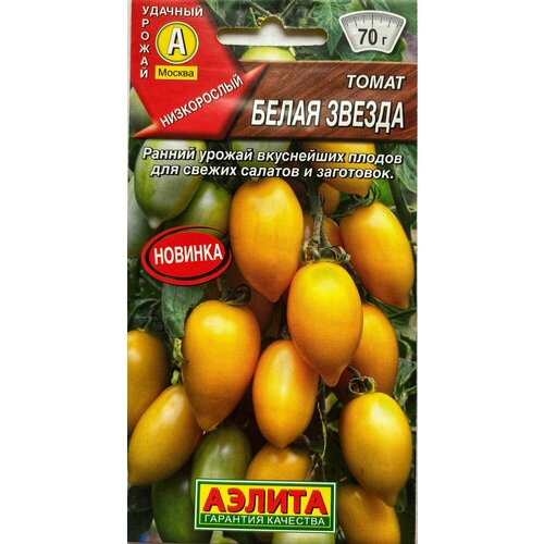 ���� ����� ����� ������, 1 �����, ������ 20 ��, ������ ������ ������