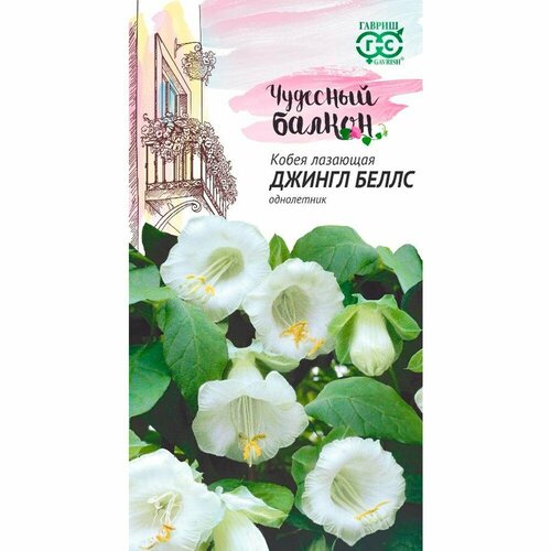 ���� ������ ����� ������ ����� �������� 5�� ��� 300�� (������) �������� ������ ������ ������