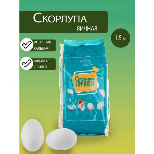 ���� ��������� ������������ �������� ������ 1,5��, ��������������� � ������������ ������ ������