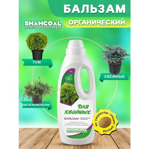 ���� ������������ ��������� ��� ��� � ������ ������� �������� ����������������� �� ������ ���������� ������ ������ ������