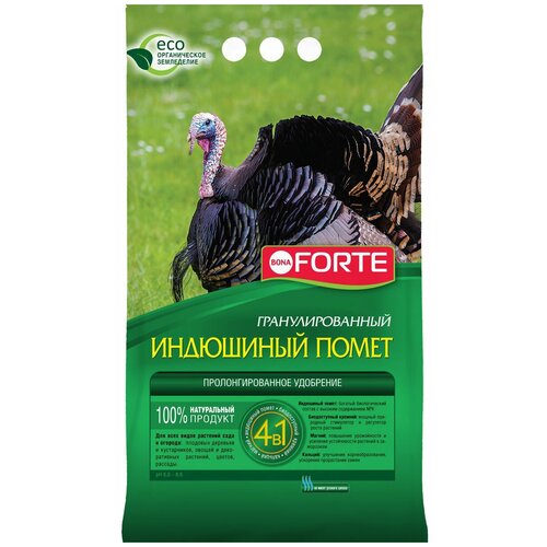 ���� ��������� BONA FORTE ��������� �����, 2 �, 2000 �, 1 ��. ������ ������