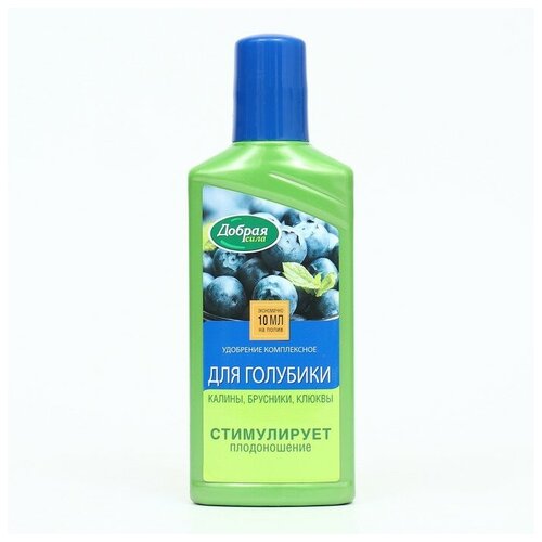 ���� ��������� ������-����������� ��� �������� � ������ ����, ������ ����, 250 �� ������ ������