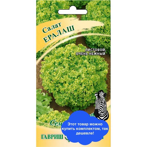 ���� ������ ������ ������ �� ������ ����� ������ 1 � ������ ������