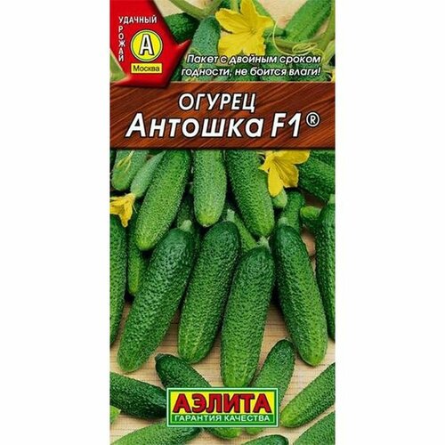 ���� ������ ������ ������� F1 ����, ������������, (������) 10�� ������ ������