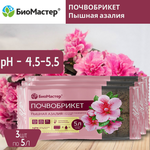 ���� �������� ����������� ������ ������, ��������� 5 �, 3 ����� ������ ������