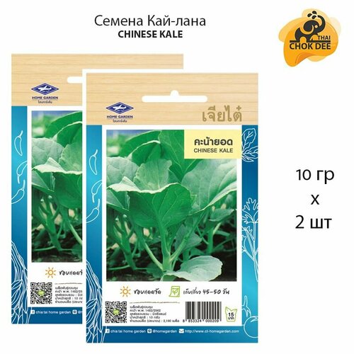       210  , Chinese Kale Seeds / Thai Chok Dee   -     , -, 