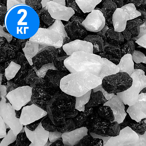 ���� ����������� ����� ��� ��������, ����������� � ��������, Zoo One, ��������� ��������, 