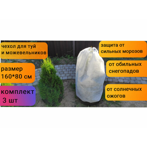 ���� ������ ����� ��� ������ � �������� � ��������/��� ���/��� ���/��� ��������������/��� ��������� ������ 160*80 ��, 3 �� � ��������� ������ ������