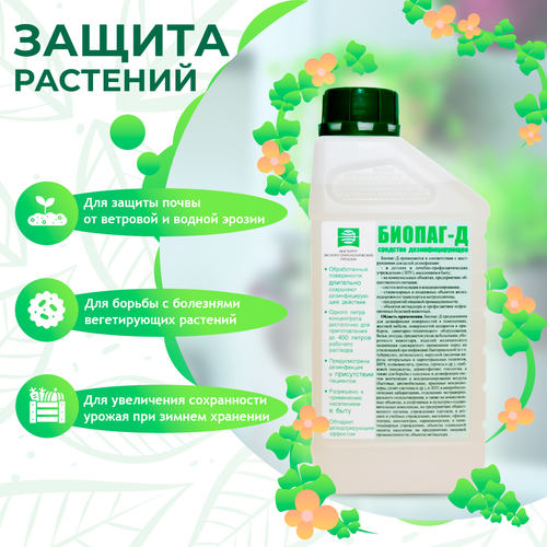 ���� �������� ��� ������ �������� ������-�, �������������, ��� ������, 1� ������ ������