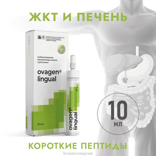 ���� Ovagen lingual ��., 10 ��, 1 ��., 1 ��. ������ ������