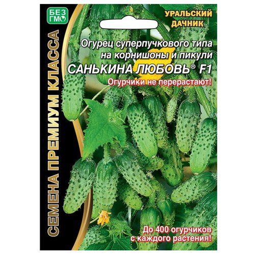 ���� ������ ��������� ������ ������ �������� ������ F1 7 ��. ������ ������