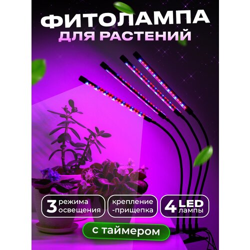 ���� ��������� ��� �������� ������������, �������������� ������ ������, ���������������� ����� ��� �������� Ocean of Light ������ ������