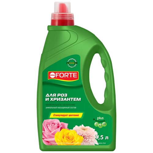 ���� ��������� BONA FORTE ��� ��� � ���������, 1.5 �, 1831 �, 1 ��. ������ ������