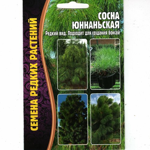 ���� ����� ���������� / ������ ���, �������� ��� ������ ( 1 �� : 25 ����� ) ������ ������