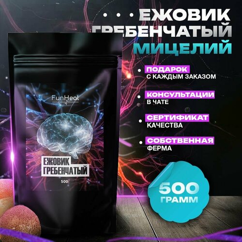 ���� ������ ����������� ������� ������� ������ ������