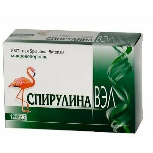 ���� ��������� ��� �������� 500�� 120�� ������ ������