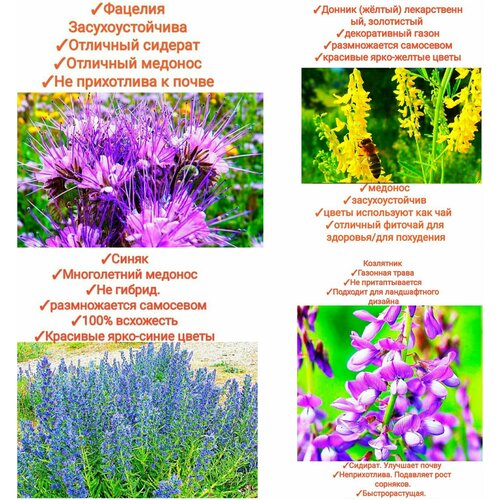 ���� ����� ���������� ����/���������,200�� (������+�������+�����+���������) ������ ������