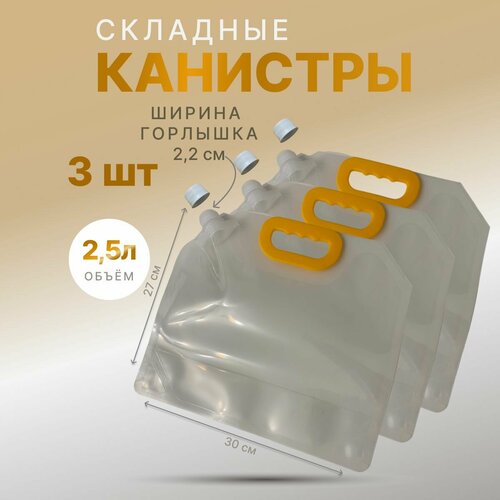 ���� �������� �������� �������������. 2,5�. , 3��. ������ ������