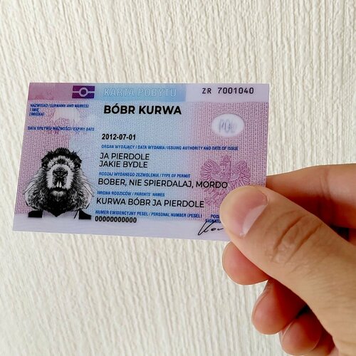    bobr kurwa (Bobr kurvva) 8656     -     , -, 