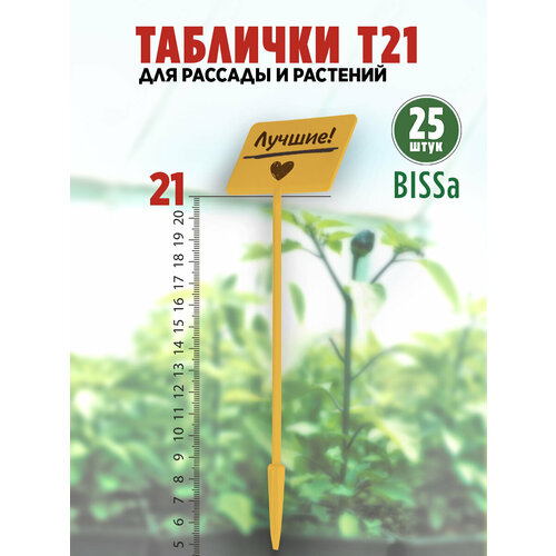 ���� ������� �������� ��� ������� � ��������, Bissa �21, ������, 25 �� ������ ������