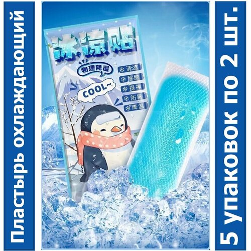 ���� �������� ����������� �������������� / ������� �������� �� �����������, 10 �� (5 ��. � 2 ��.) ������ ������