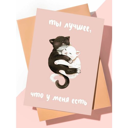 ���� ����� �������� � ���� �������� 