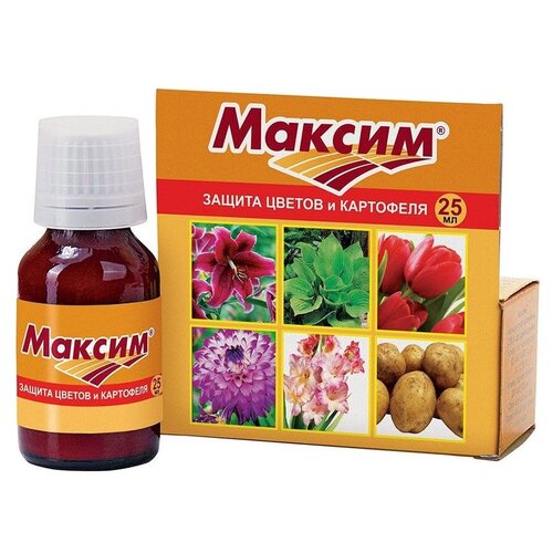 ���� ���� ��������� �������� �������-����������� �������� ������, 25 ��, 75 � ������ ������