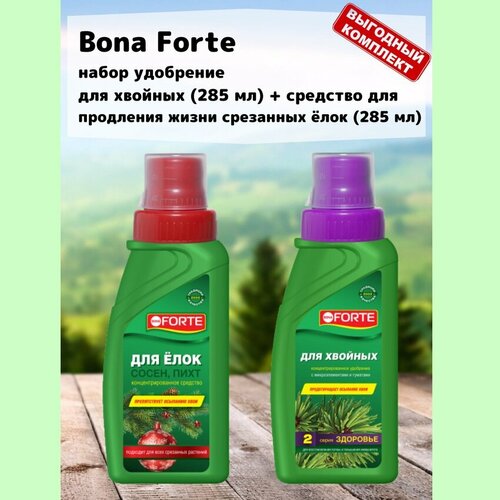      (285 ) +       (285 ) Bona Forte   -     , -, 