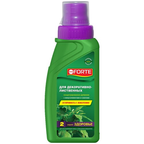 ���� ��������� BONA FORTE ��� �����������-���������� ��������, ����� ��������, 0.285 �, 364 �, 1 ��. ������ ������