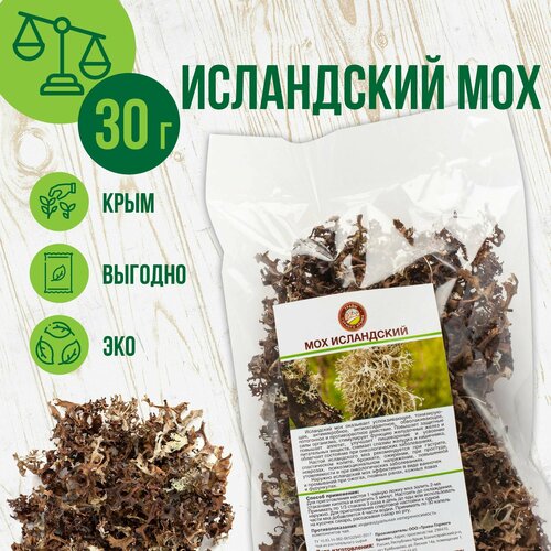 ���� ���������� ��� �� �����, ��������, 30�� ������ ������