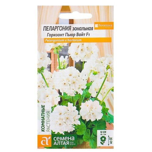 ���� ������ ��������� ������ ���������� 