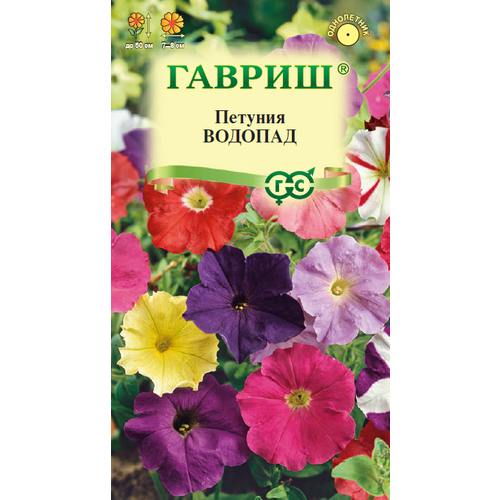 ���� ������ ������� ������� ��������� 7�� ��� ����� 50�� (������) ������ ������