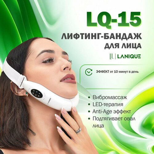 ���� ������-�������� � ���������, EMS � LED-�������� ��� �������� ����� ���� LANIQUE LQ-15 ������������ ������ ������