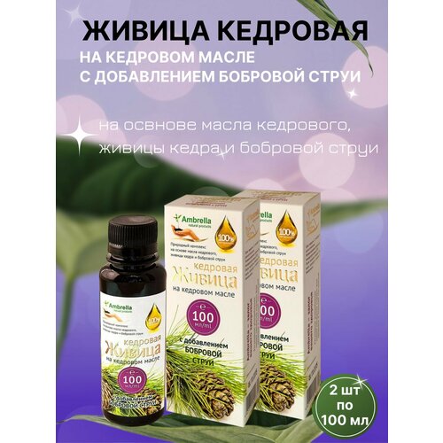 ���� ������ �������� �� ���� ����� � �������� ������, 2�� �� 100��, Ambrella ������ ������