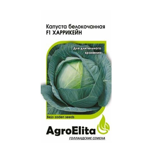 ���� ������ ������� ������������ ��������� F1 10�� (���������) ��������� ���� ������ ������