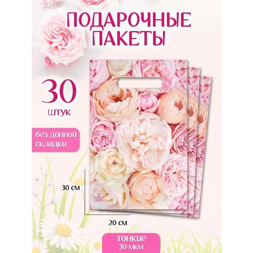 ���� ����� ���������� ������� � ������� ������ ������