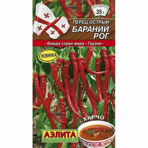 ���� ������ ����� ������ ������� ���, ������������, (������) 20�� ������ ������