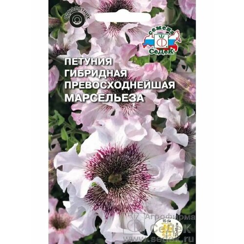 ���� ������� 